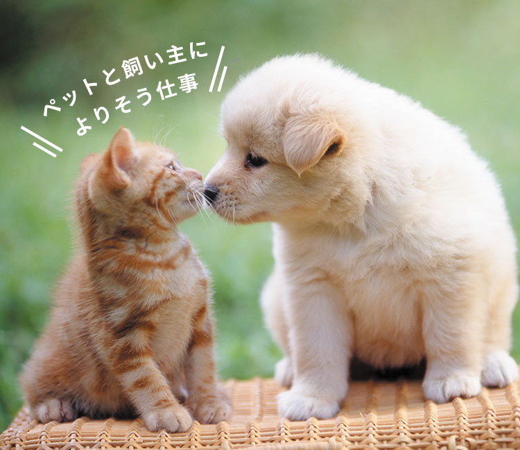 愛玩動物看護師科