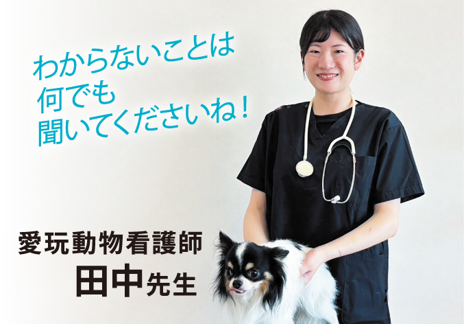 先生紹介