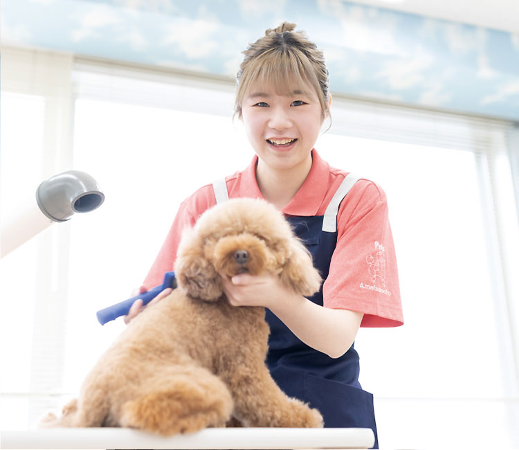 新潟ペット動物専門学校