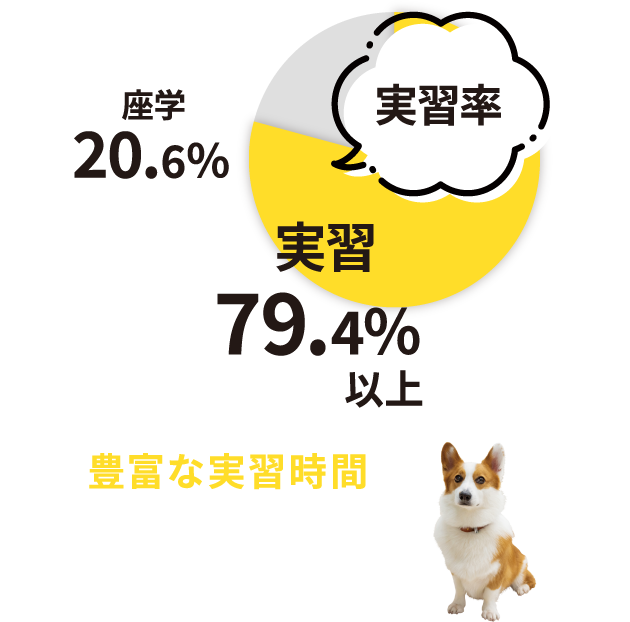 学びのポイント