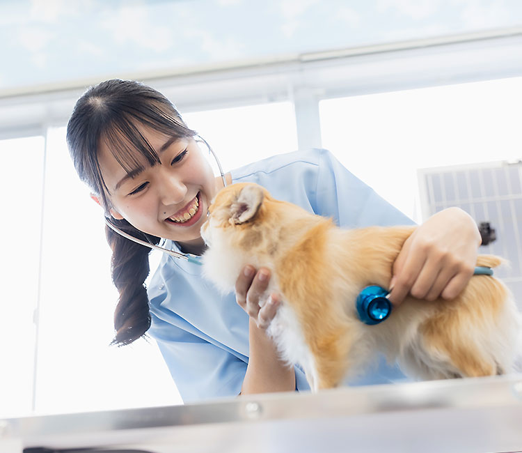 愛玩動物看護師科