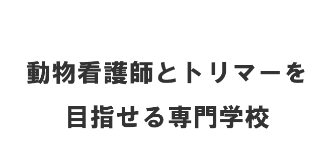 動物看護師とトリマーを目指せる専門学校
