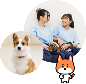 新潟ペット動物専門学校