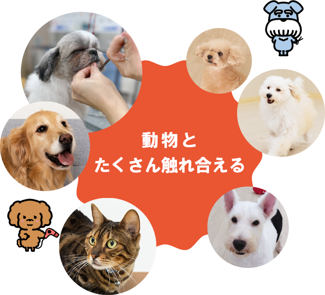 新潟ペット動物専門学校