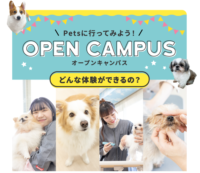オープンキャンパス